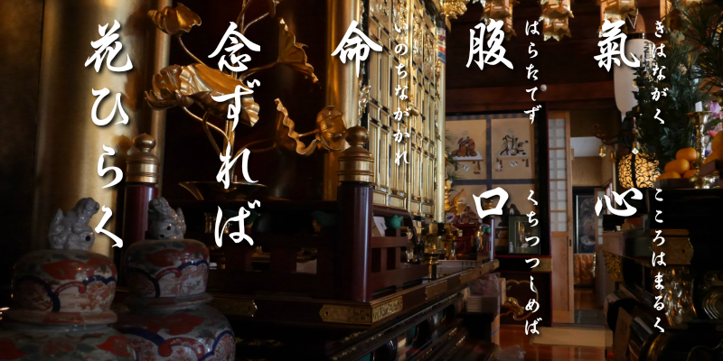 龍光山釜滝薬師金剛寺